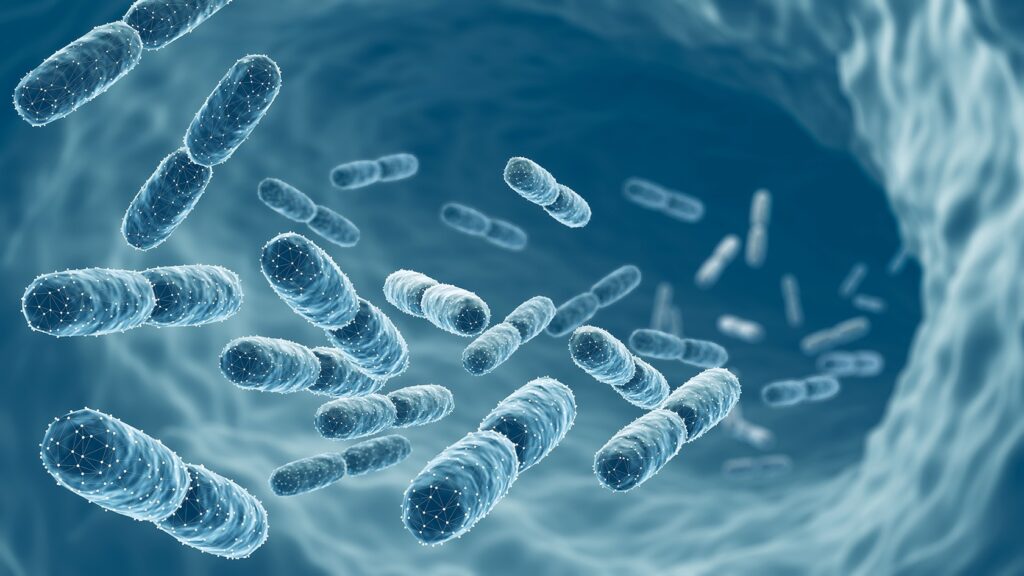 Probiotics for skin health comparing topical and oral supplements